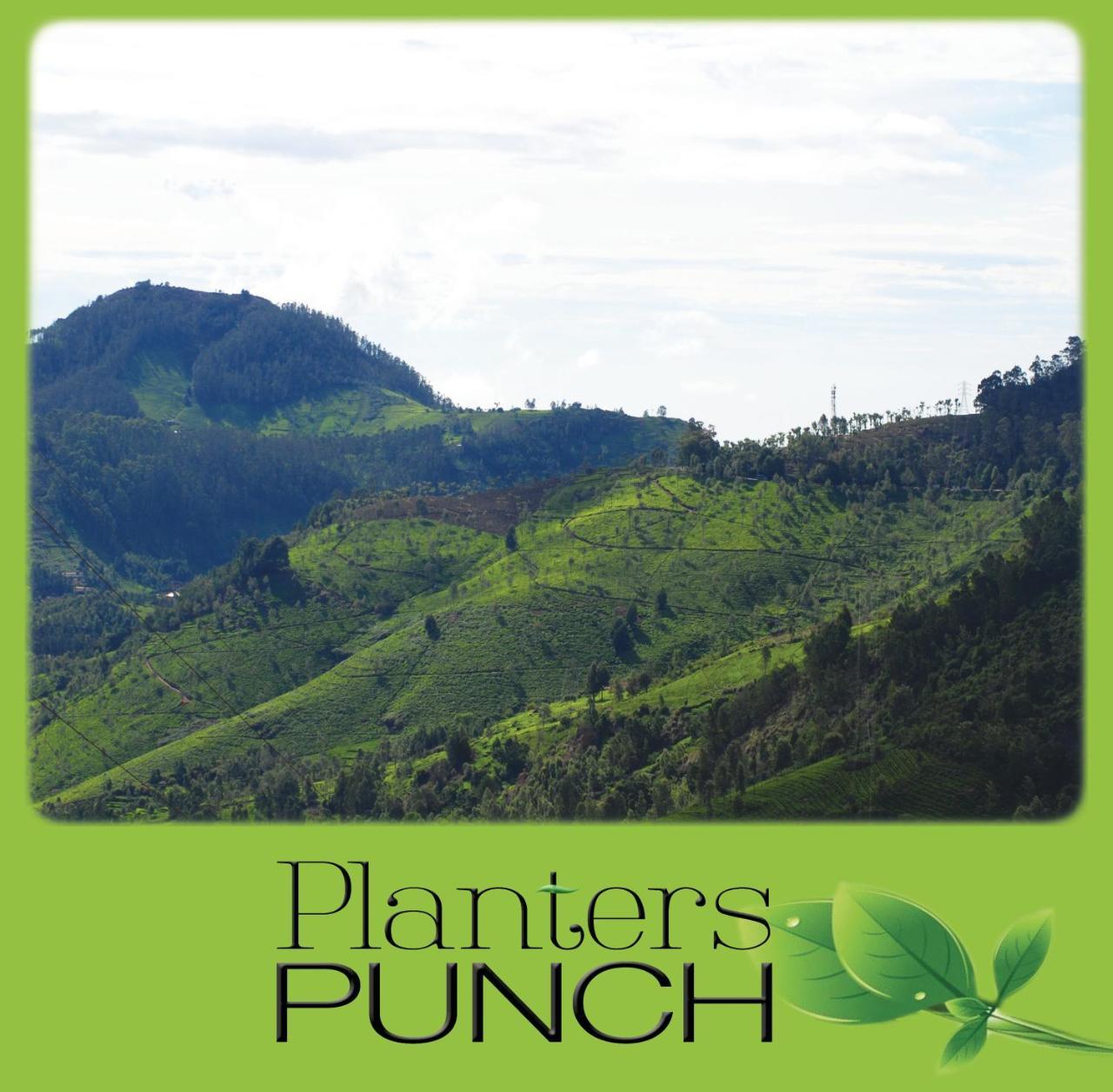 Вилла Planters Punch Утакаманд Экстерьер фото