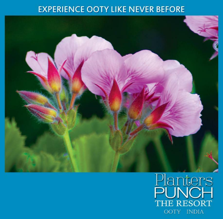 Вилла Planters Punch Утакаманд Экстерьер фото